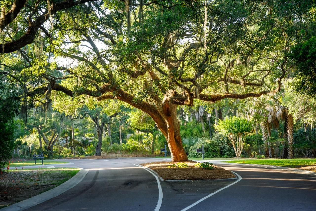 1314 Pelican Watch - Seabrook Island - Beachfront 5 Star Condo - Fido Friendly Экстерьер фото